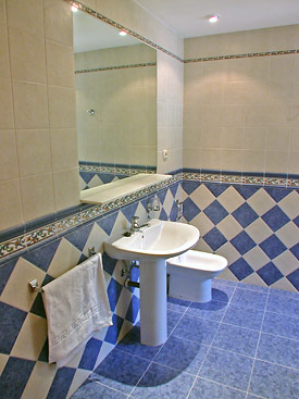The blue shower-room at Christina