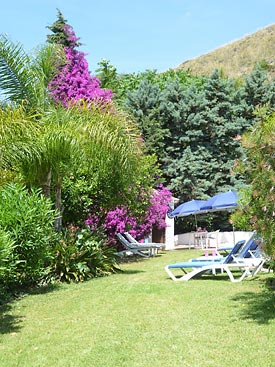 Lush tropival gardens at Villa Tusculum